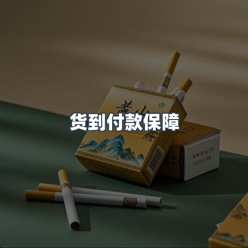 服务优势